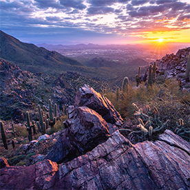 South Mountain Preserve